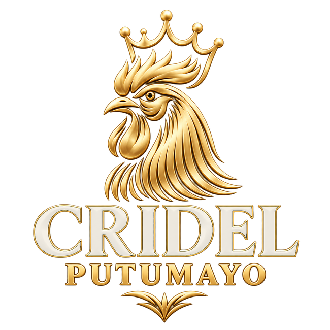 Logotipo oficial CRIDEL sobre fondo oscuro